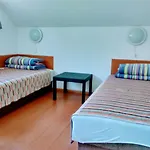 Apartment Fesztival Nyaralohaz *