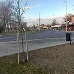 Fesztival Nyaralohaz *