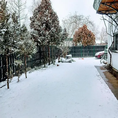 Apartamento Fesztivál *
