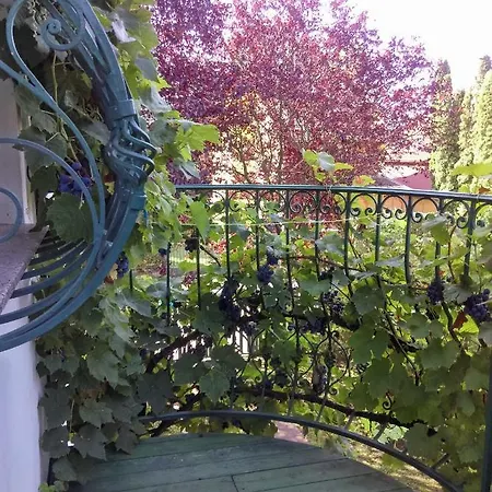 Fesztival Nyaralohaz Apartment Zamardi