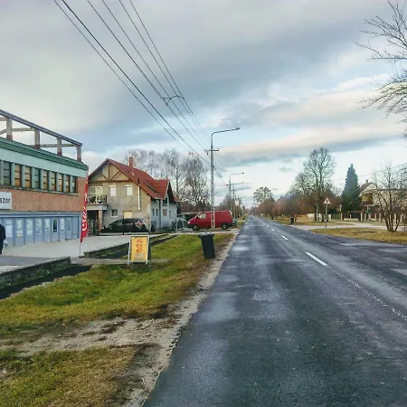 Fesztivál *