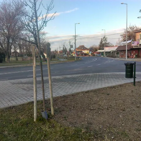 Fesztivál *