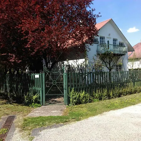 Fesztivál